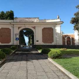 Ercolano con una guida archeologica e un biglietto