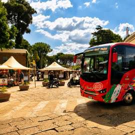 Napoli: Bus navetta di andata e ritorno per Pompei