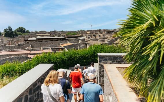 Da Napoli: Tour di un giorno delle rovine di Pompei e del Vesuvio