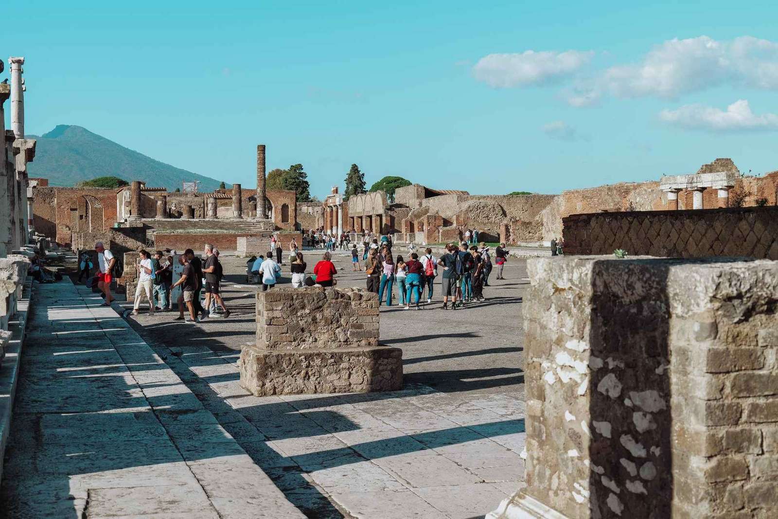 Tour di Pompei e Vesuvio da Sorrento in un giorno con minibus