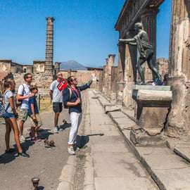 Tour di Pompei e Vesuvio con ingresso prioritario