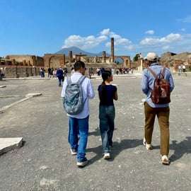 Tour guidato di Pompei per piccoli gruppi, in inglese