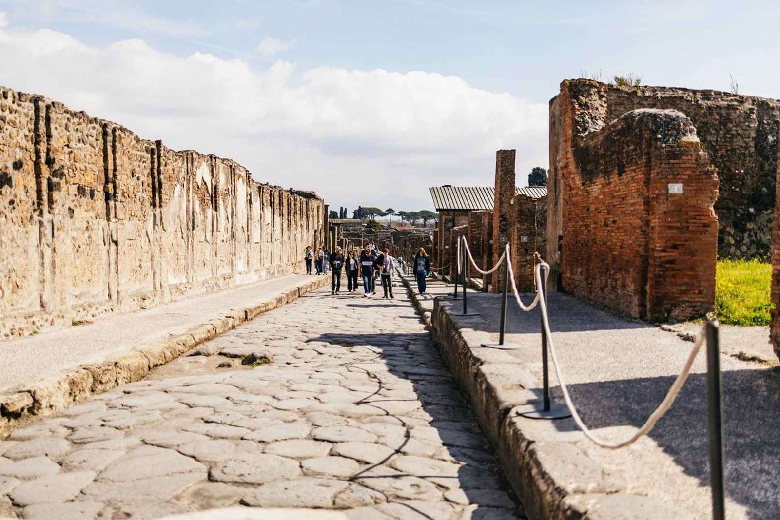 Pompei: Tour privato accessibile alle persone in sedia a rotelle con una guida