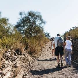 Da Napoli: tour all-inclusive di mezza giornata sul Vesuvio