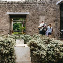 Tour di un giorno a Pompei, Ercolano e Vesuvio