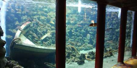 Acquario di Napoli – Stazione Zoologica Anton Dohrn