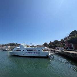 Giro dell'isola d'Ischia in barca con sosta a Sant'Angelo