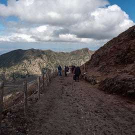Da Sorrento: Tour guidato di Pompei e del Vesuvio con pranzo