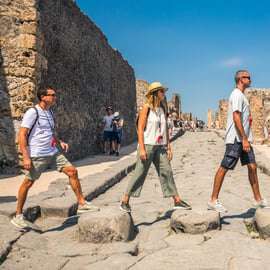 Tour di Pompei e Vesuvio con ingresso prioritario
