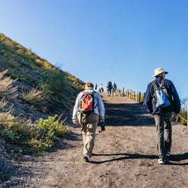 Da Napoli: Escursione combinata con il Vesuvio e le rovine di Pompei