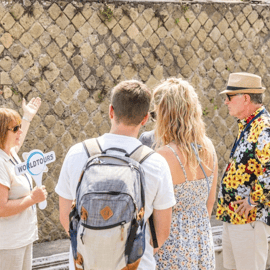 Napoli: Escursione di un giorno a Pompei e al Vesuvio con biglietti e pranzo