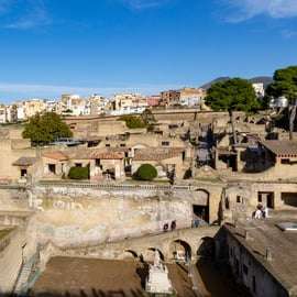 Da Napoli: Ercolano salta la fila - Tour condiviso