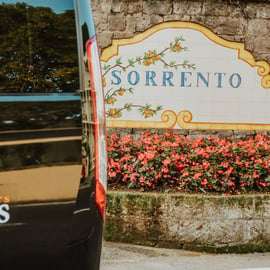 Tour di Pompei e Vesuvio da Sorrento in un giorno con minibus