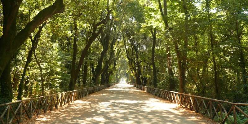 Parco di Capodimonte