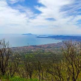 Pompei: Trasferimento dal cratere del Vesuvio con biglietto