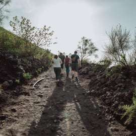 Escursione a Pompei e al Vesuvio da Napoli