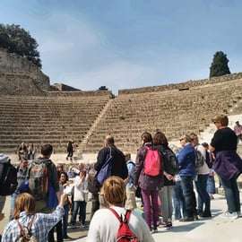 Pompei e Vesuvio: Smart Tour da Napoli con biglietti
