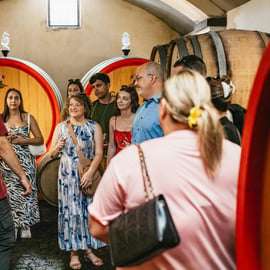 Da Napoli: Wine Tasting Tour sulle pendici del Vesuvio con pranzo