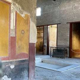 Da Napoli: Tour guidato di Pompei con biglietto di ingresso prioritario