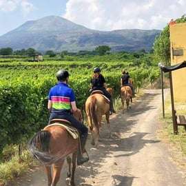 Da Pompei: Tour a cavallo del Vesuvio