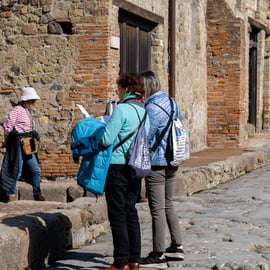 Pompei: Tour del Parco Archeologico con biglietto su richiesta