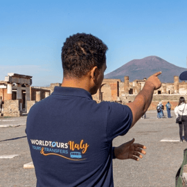 Da Napoli: Pompei e Costiera Amalfitana: escursione di un giorno con pranzo