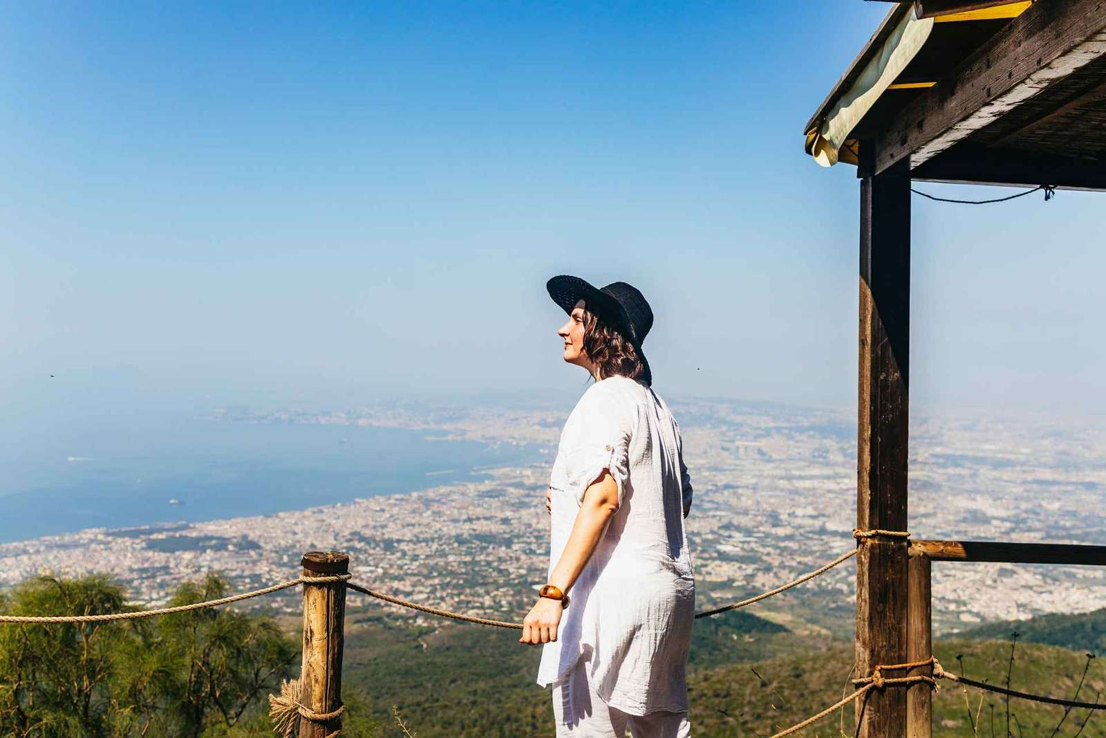 Da Napoli: tour all-inclusive di mezza giornata sul Vesuvio