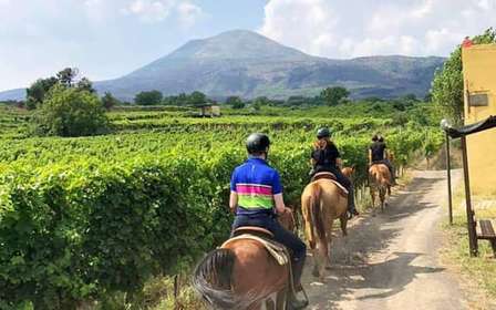 Da Pompei: Tour a cavallo del Vesuvio