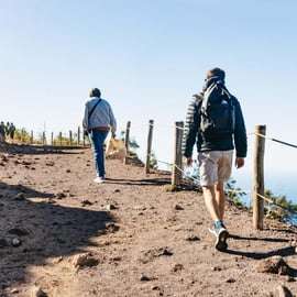 Da Pompei: trasferimento in autobus al Vesuvio con ingresso al parco a pagamento