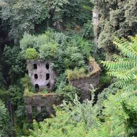 Sorrento: Tour guidato a piedi e degustazione di limoncello