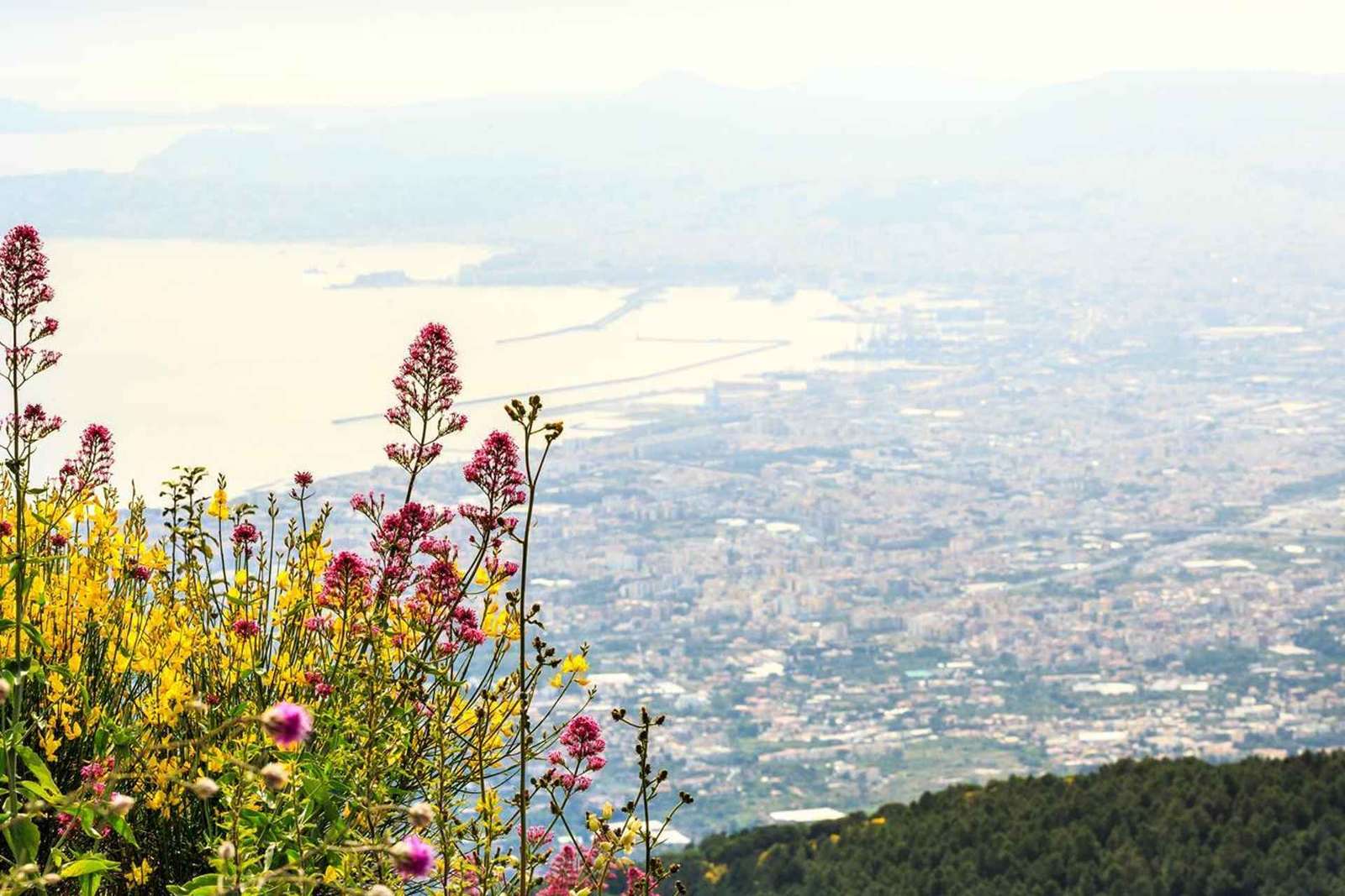 Da Napoli: Trasferimento sul Vesuvio con biglietto d'ingresso