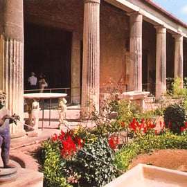 Da Napoli o Sorrento: Tour di mezza giornata a Pompei