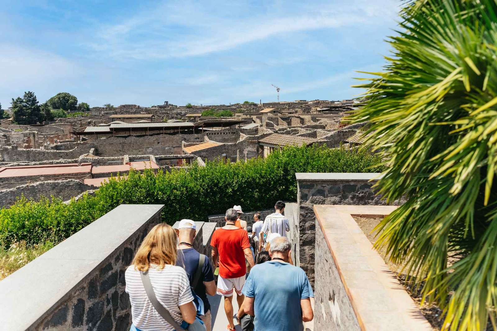 Gita a Pompei e Vesuvio da Napoli con pranzo a base di pizza