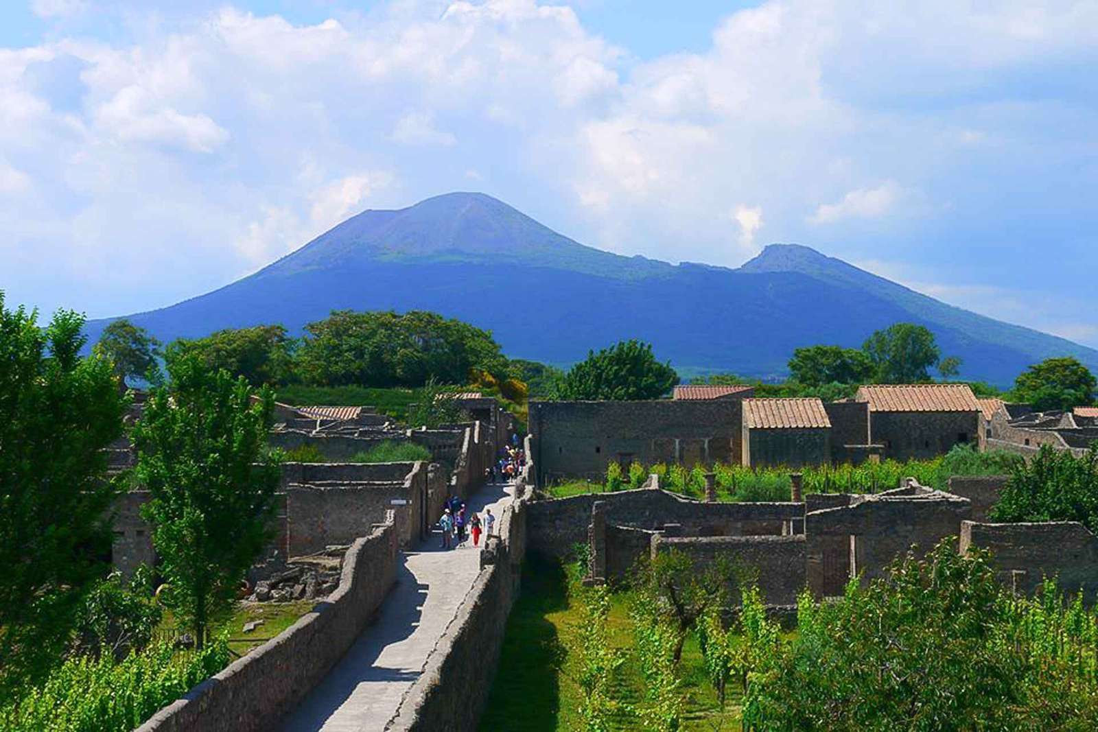 Tour di un giorno intero di Pompei e del Vesuvio dalla Costiera Amalfitana