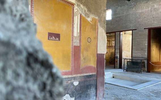Da Napoli: Tour guidato di Pompei con biglietto di ingresso prioritario