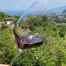 5 Degustazioni di vino con prodotti tipici in Costiera Sorrentina