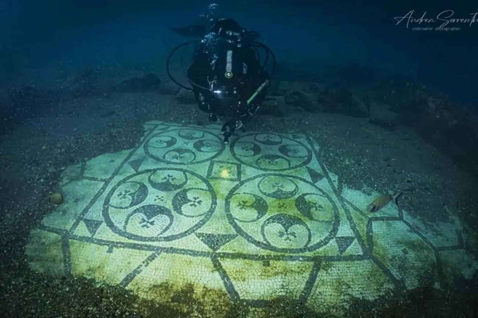 Immersione nel parco sommerso di Baia per chi inizia