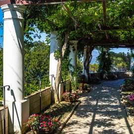 Da Sorrento: Escursione di un'intera giornata a Capri, Anacapri e Grotta Azzurra