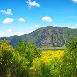 Da Napoli: Trasferimento sul Vesuvio con biglietto d'ingresso