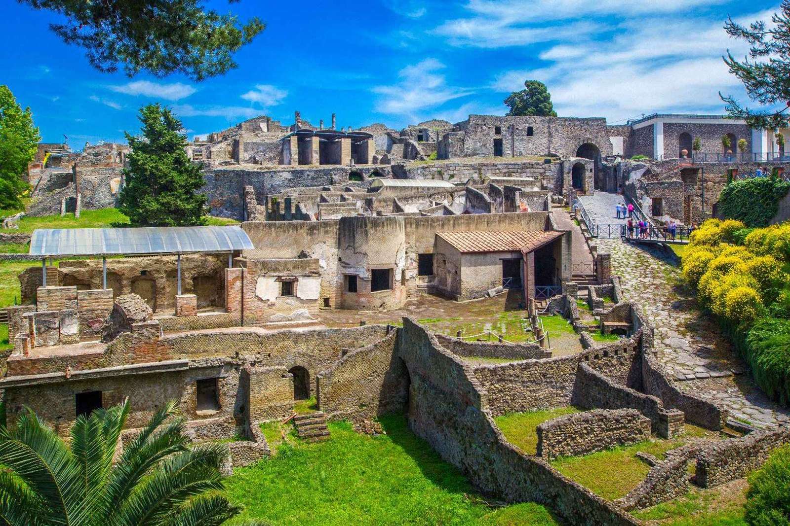 Pompei: biglietto d'ingresso salta fila con libro