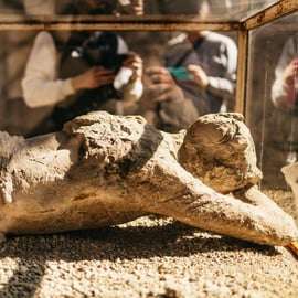 Pompei: Tour privato accessibile alle persone in sedia a rotelle con una guida