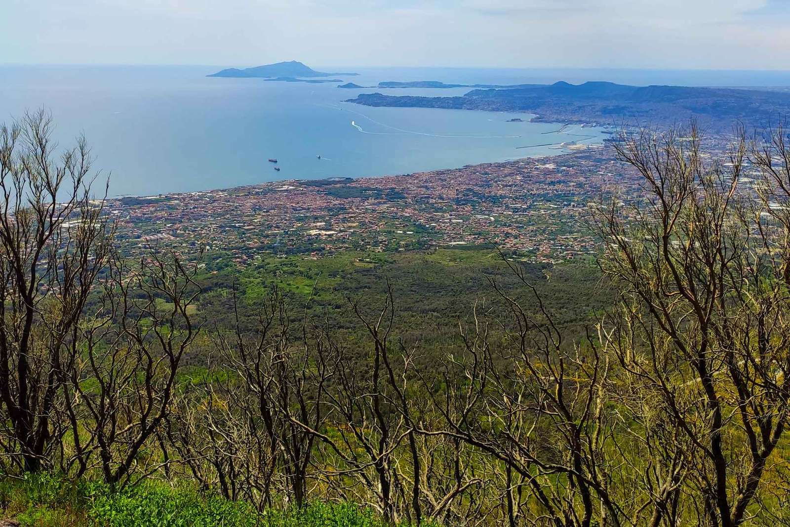 Pompei: Trasferimento dal cratere del Vesuvio con biglietto