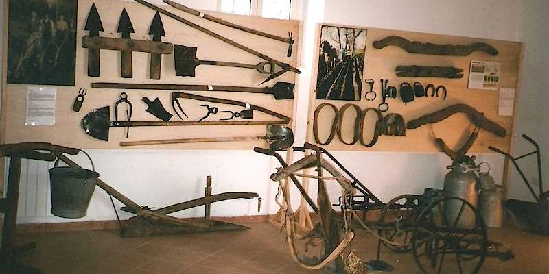 Museo Laboratorio della Civiltà Contadina "Masseria Luce"