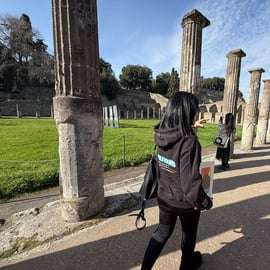 Da Sorrento: Tour di un giorno alle rovine di Pompei e al Vesuvio