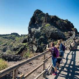 Pompei: Trasferimento dal cratere del Vesuvio con biglietto