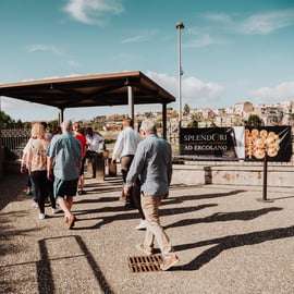 Escursione di Pompei ed Ercolano per piccoli gruppi da Sorrento