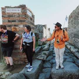 Tour di Pompei e Vesuvio da Sorrento in un giorno con minibus