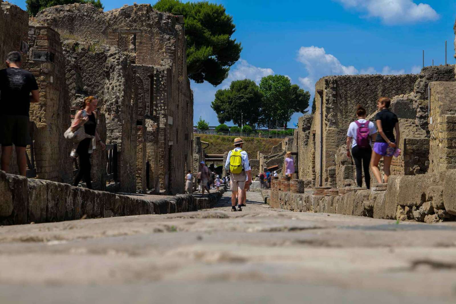 Scopri Ercolano: visita guidata in francese dell'antica città romana