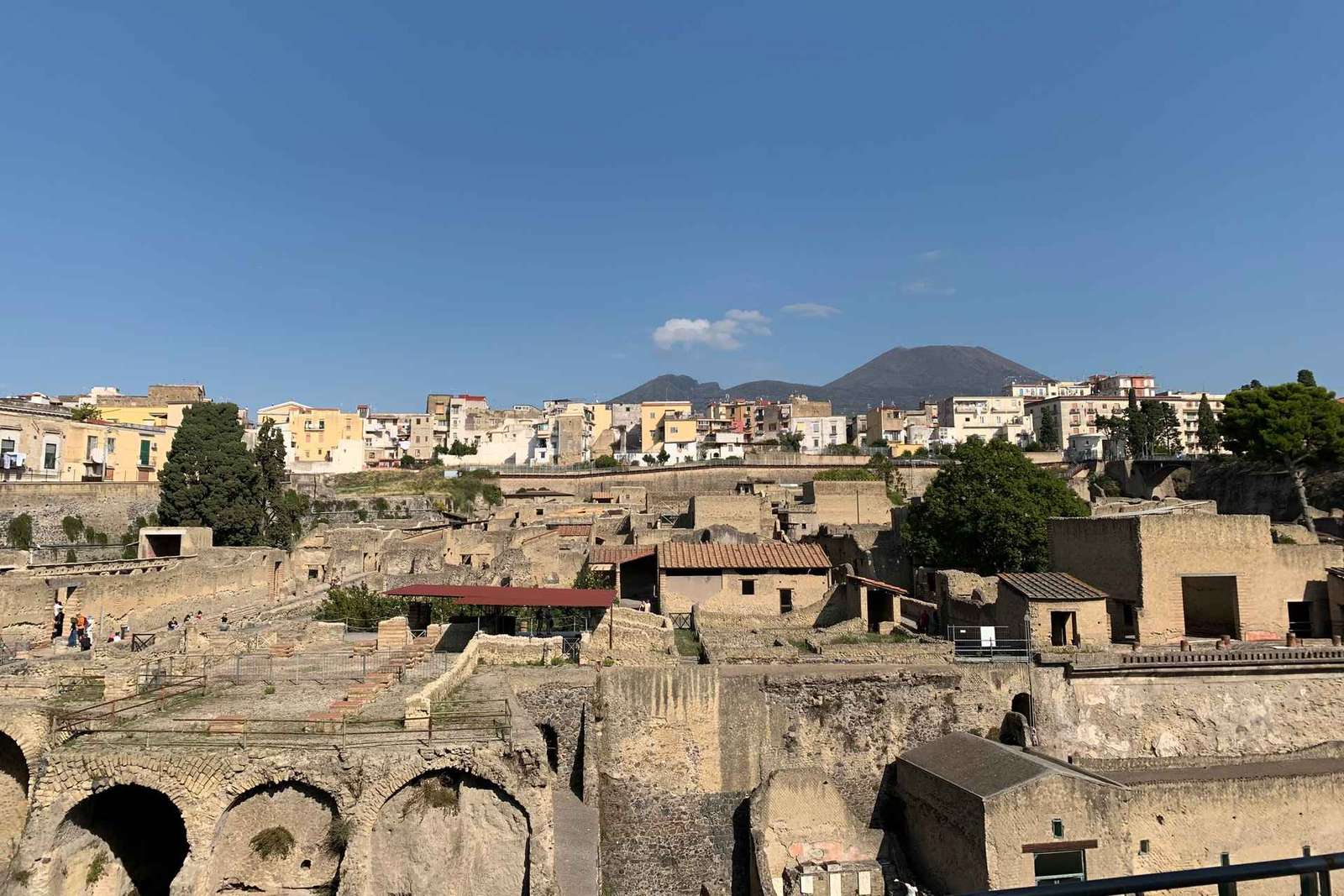 Ercolano: ingresso e tour con un archeologo del posto