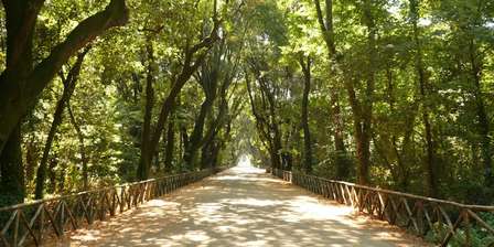 Parco di Capodimonte